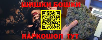 СК Бийск
