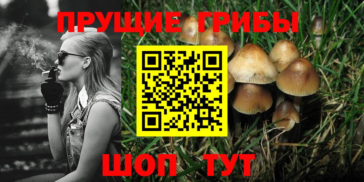 Ипатово  Псилоцибиновые грибы мухоморы  Вход с VPN 