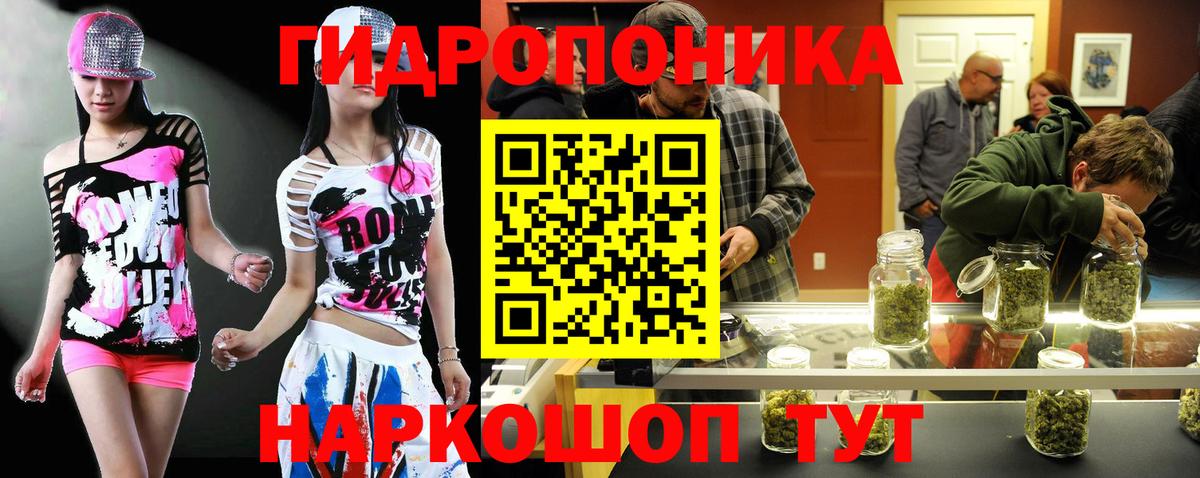 Конопля OG Kush  Вход с VPN  Ипатово  Каннабис VHQ  Бошки Шишки SATIVA & INDICA 